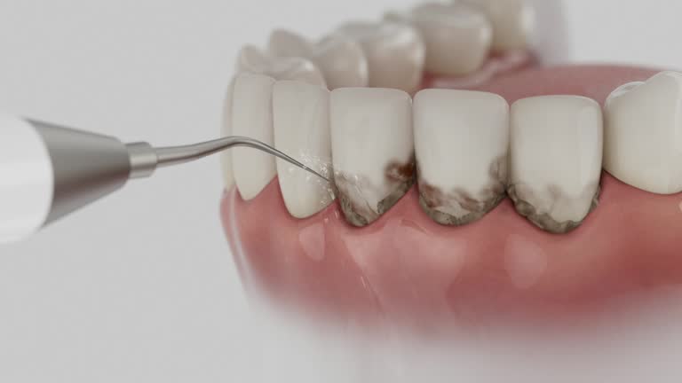Reliable Dental contractor in Fort Ashby, WV by Dentist Open Now